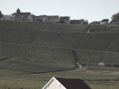 The Champagne Region