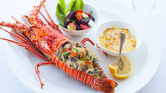 Lobster - Exquisite Taste