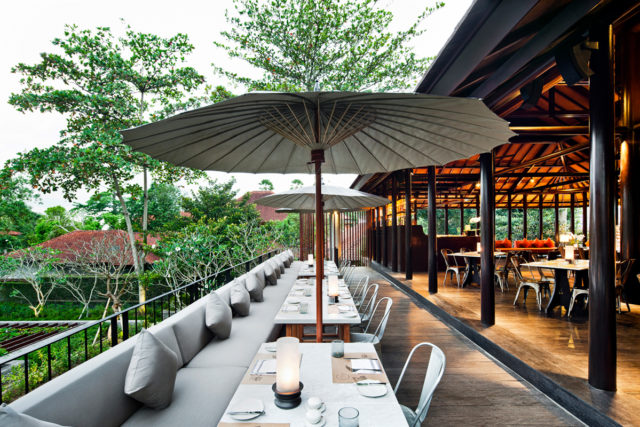 Where to Dine in Bali 2026: The Ubud Restaurant Hit List