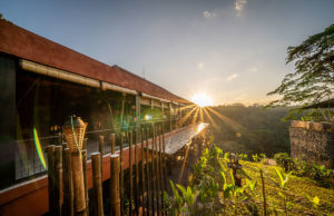 Celebrate the Day of the Dead with Sensory Scapes at Arriba