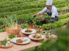 A Journey of Flavours at The Puhu Restaurant Puhu Restaurant at Padma Resort Ubud