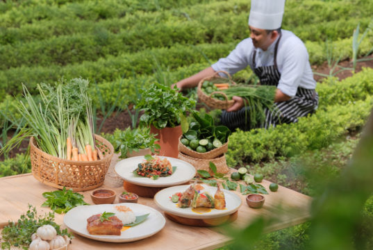 Padma Resort Ubud