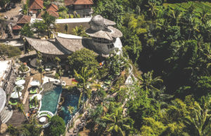 Winner of Exquisite Awards 2025 – Best New Day Club – The Jungle Club Ubud