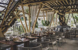 The Jungle Club Ubud