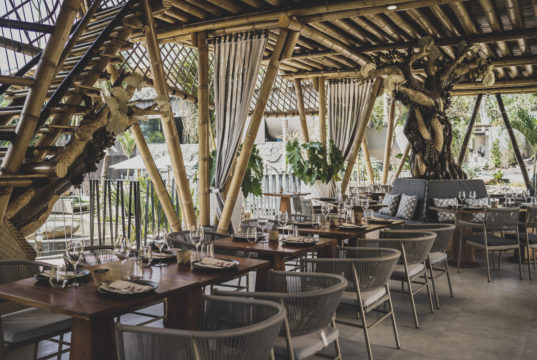 The Jungle Club Ubud