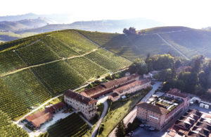 Rooted in Resilience