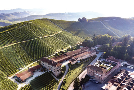 Rooted in Resilience