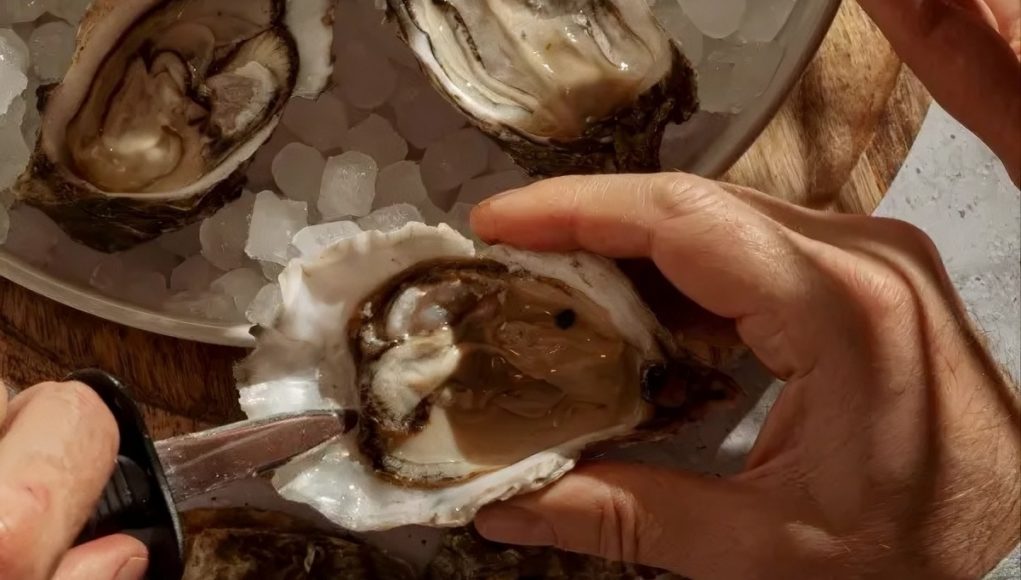 The Oyster World Cup Gastronomy 2026 at Chatrium Grand Bangkok