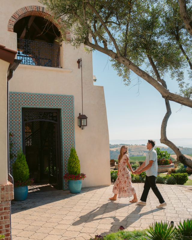 DAOU Vineyards Arrives in Asia